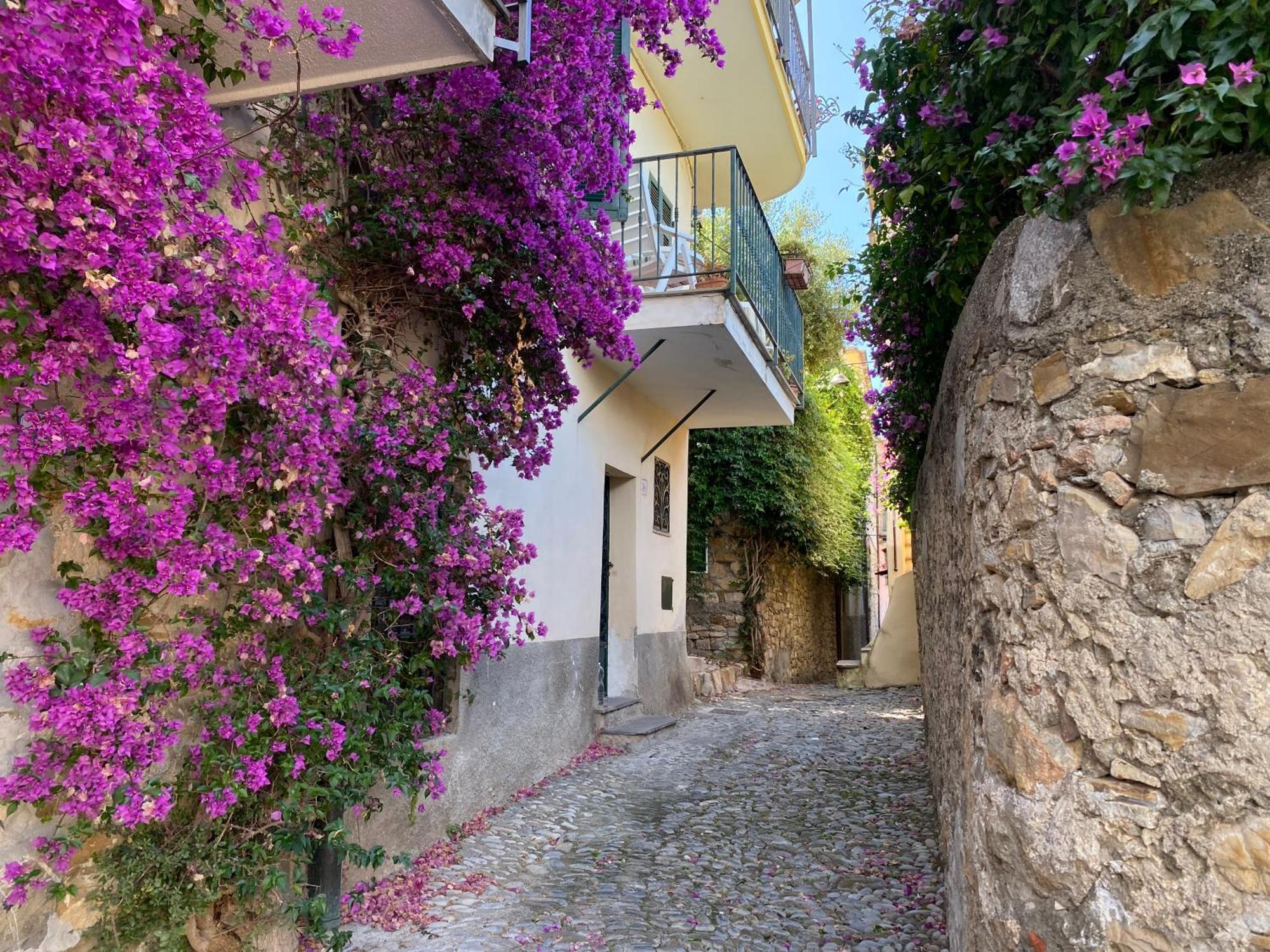 La Finestra Sul Borgo Bed & Breakfast Cervo Dış mekan fotoğraf