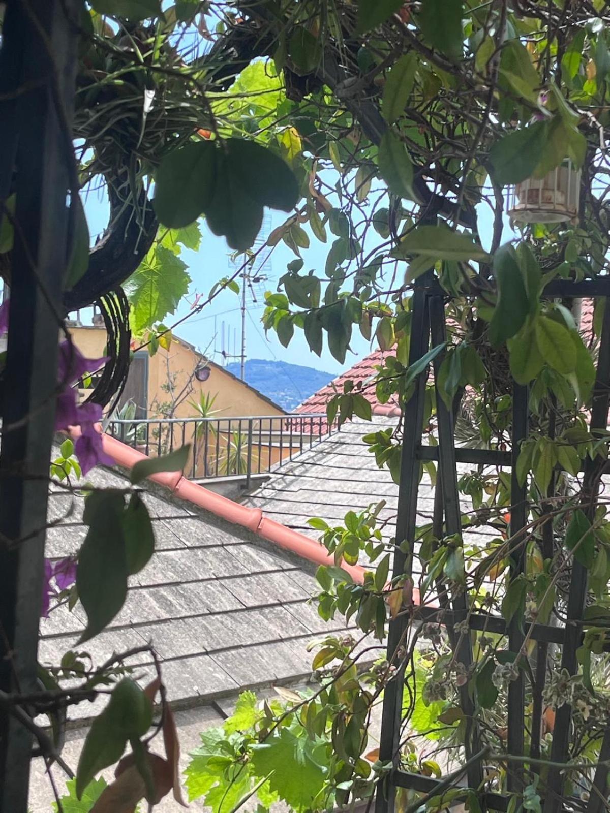 La Finestra Sul Borgo Bed & Breakfast Cervo Dış mekan fotoğraf
